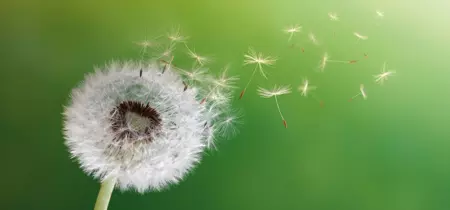 Gestión Medioambiental
